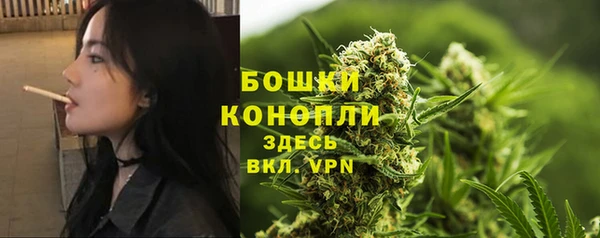 трава Медногорск