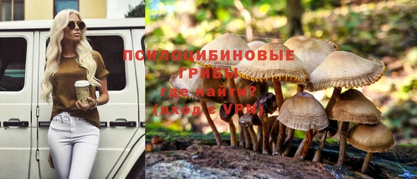 экстази Медвежьегорск
