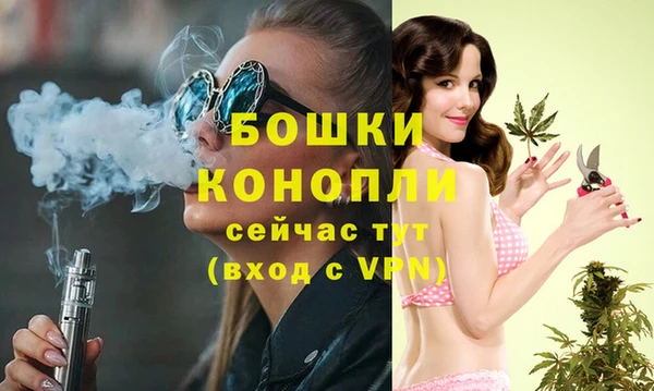 стаф Михайлов
