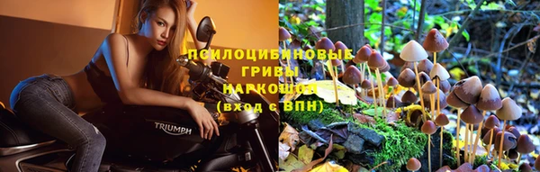 apvp Мегион