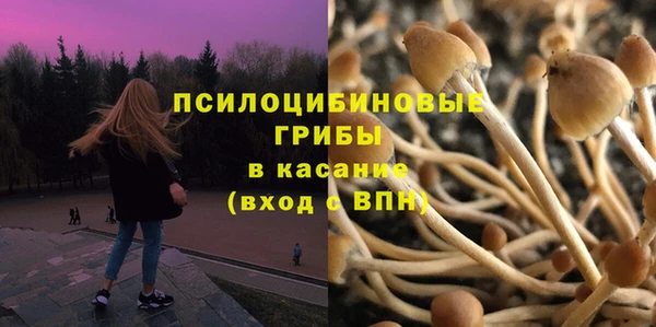 трава Медногорск