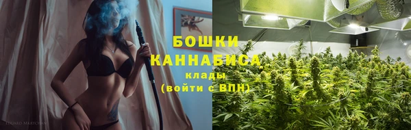 стаф Михайлов